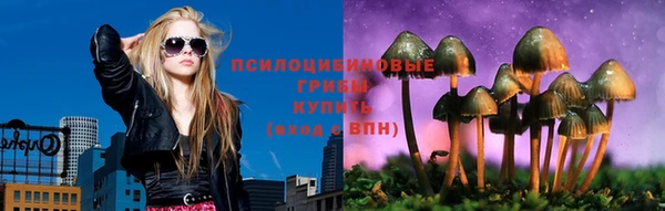 прущие крисы Богородицк