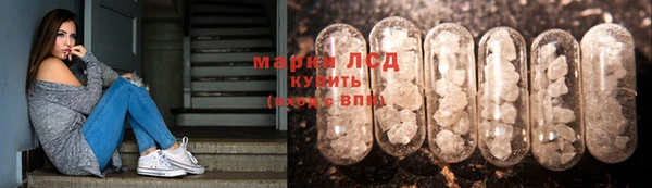 дживик Богданович