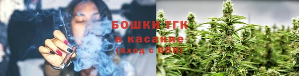 крисы Богородск