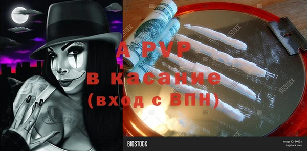дживик Богданович